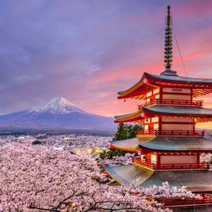Our Japan Honeymoon Fund