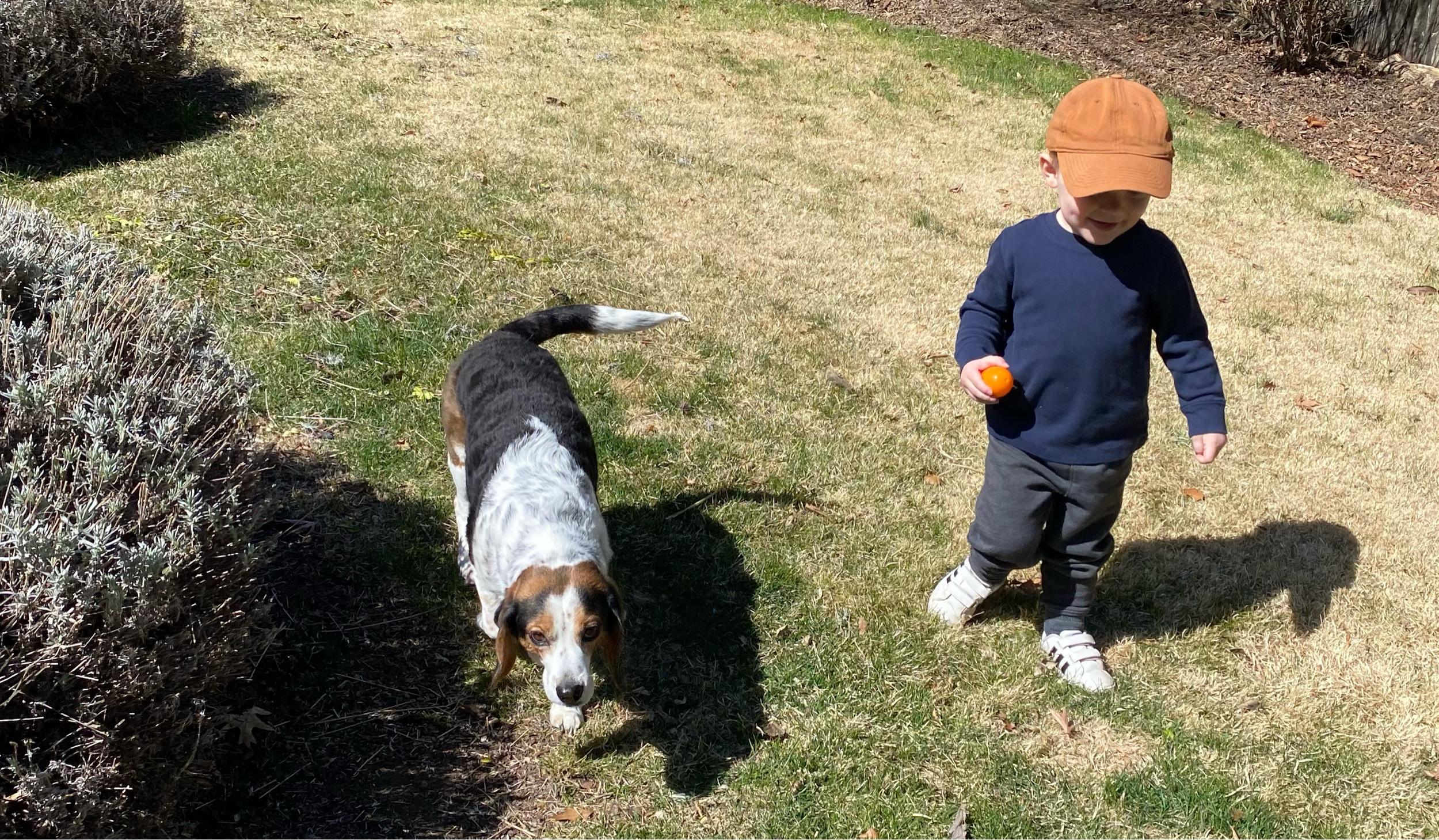 The Wedding Website of Kylie Johnston and Trevor Waldoch