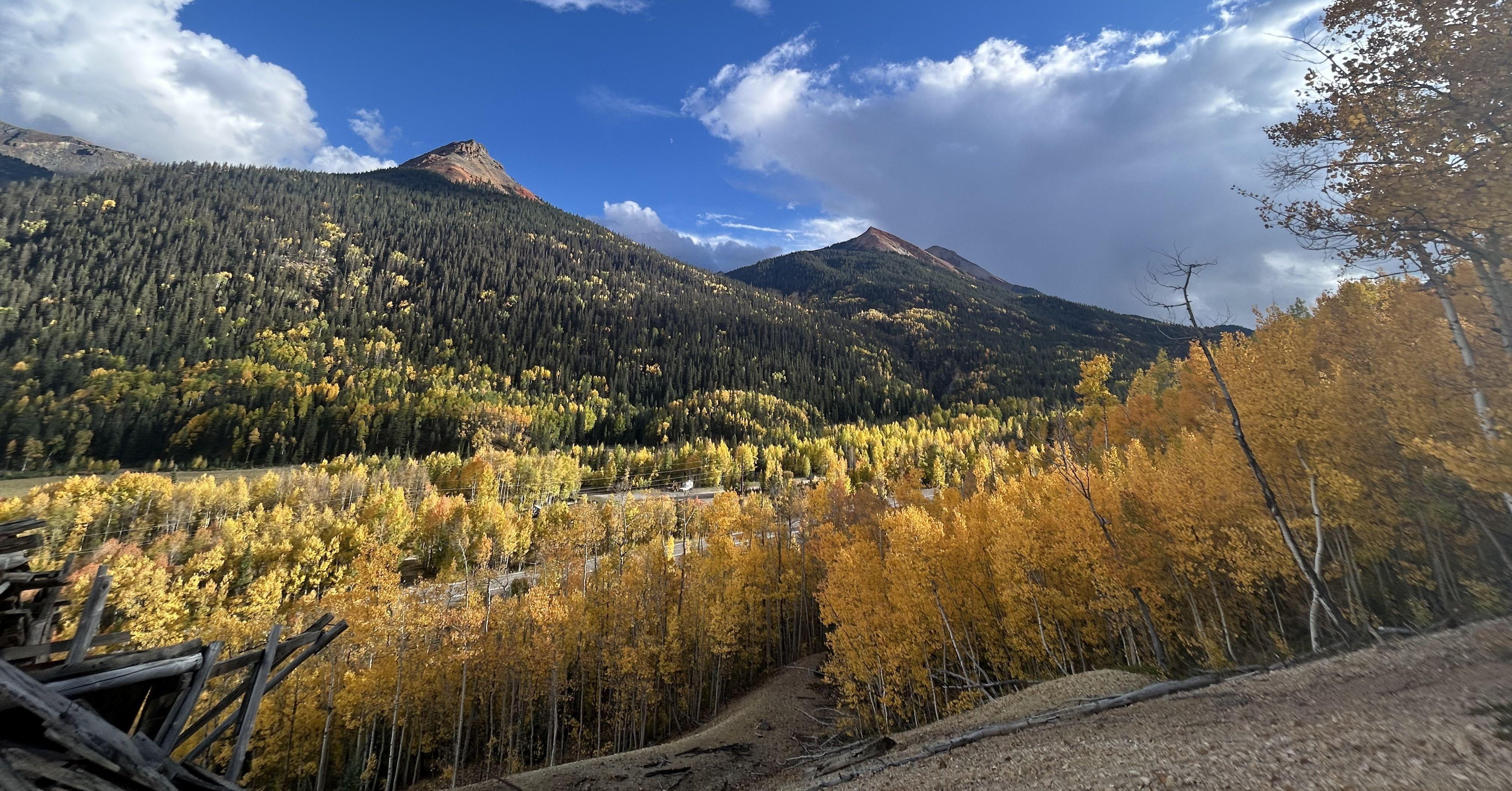 The Wedding Website of Shannon Mullane and Charlie Henry