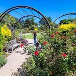 JC Raulston Arboretum
