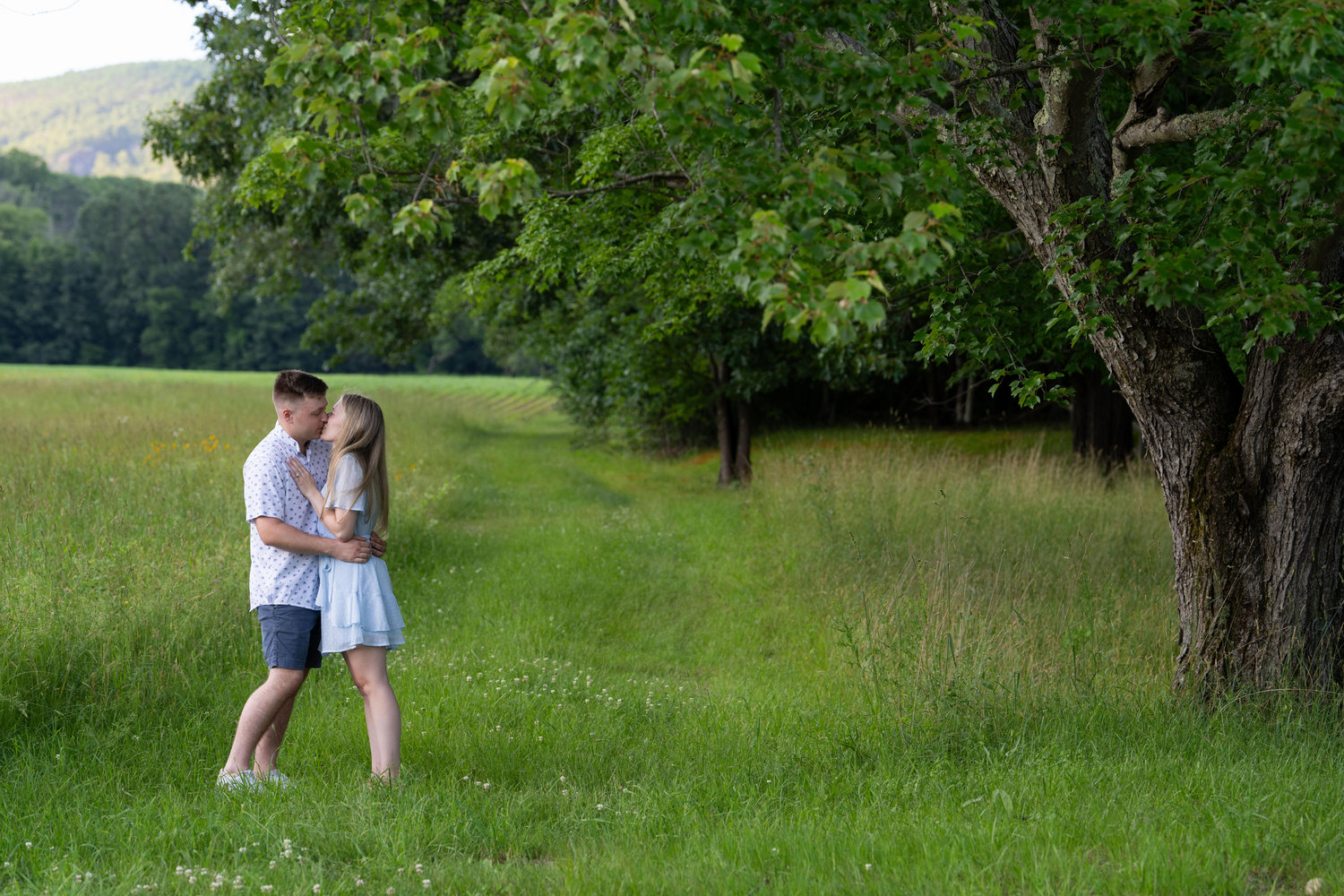 The Wedding Website of Anna Stewart and Matthew Collier