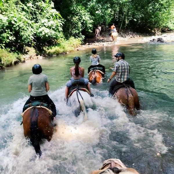 Horseback Riding