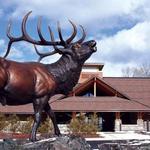 Rocky Mountain Elk Foundation