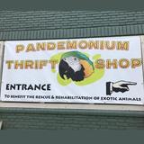 Pandemonium Thrift Shop