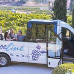 Take a wine tour