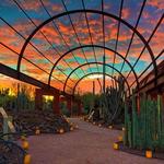 Desert Botanical Garden