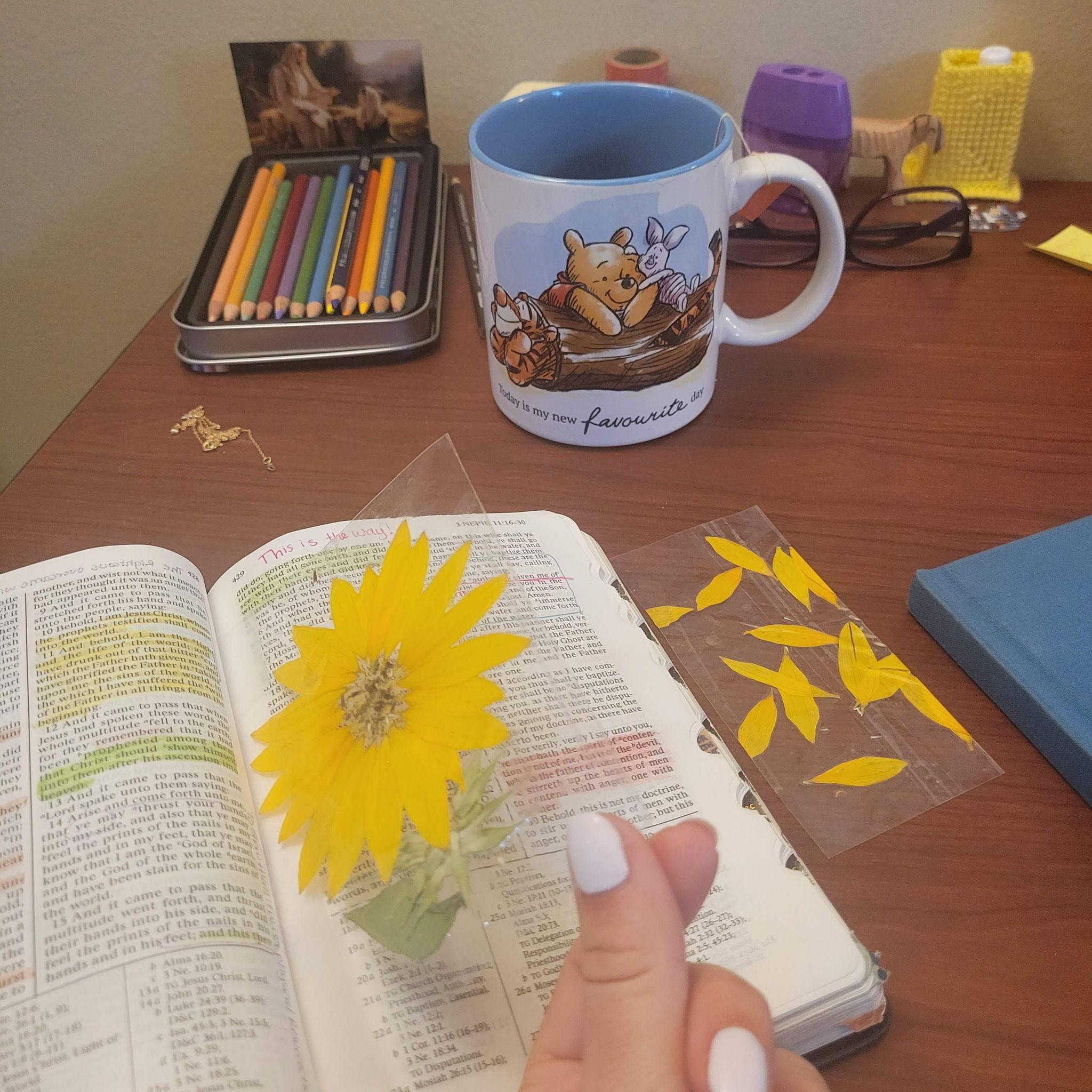 Ashton and Summer wrote her whole mission, never missed a P-day. They sent eachother paintings and pressed flowers & leaves. They built their relationship on sharing the gospel and the love of Jesus!