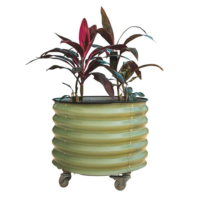 Vego garden Self-Watering Rolling Citrus Planter Raised Garden Bed Kits, Single Pack-Olive Green