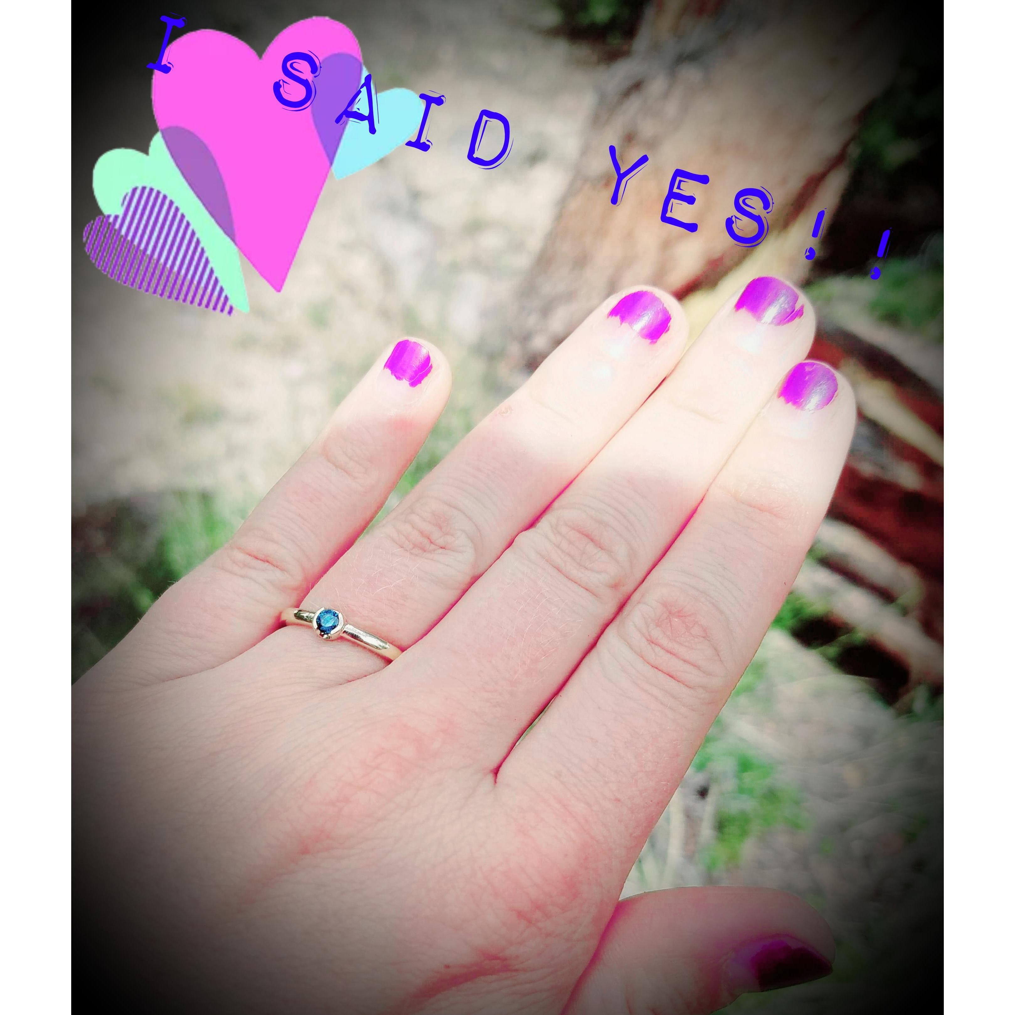 Just engaged got engaged in a tree!