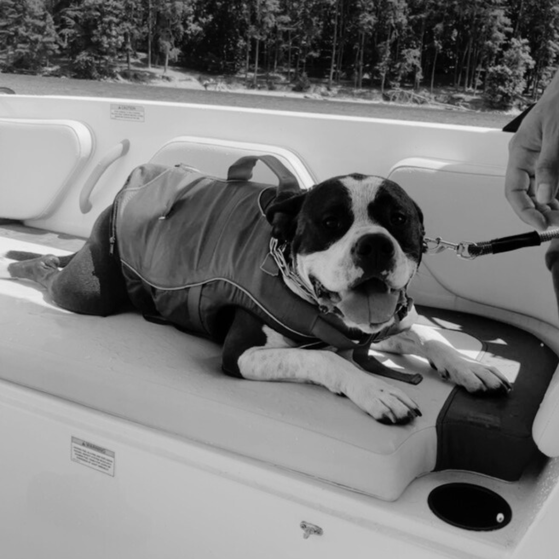 July 30, 2024 One of many lake days with Bullet!