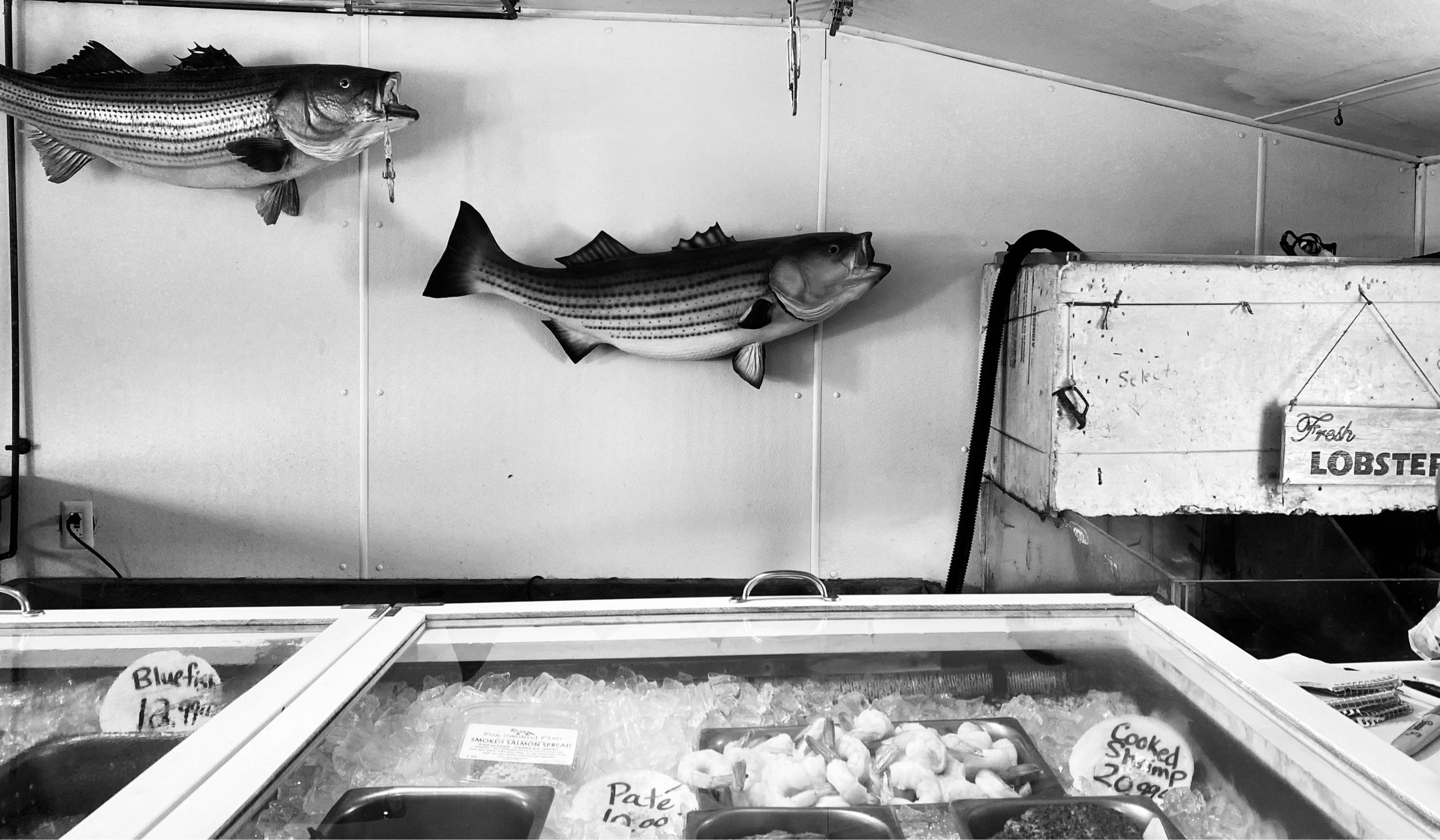 The Wedding Website of steve joubert and catherine thompson