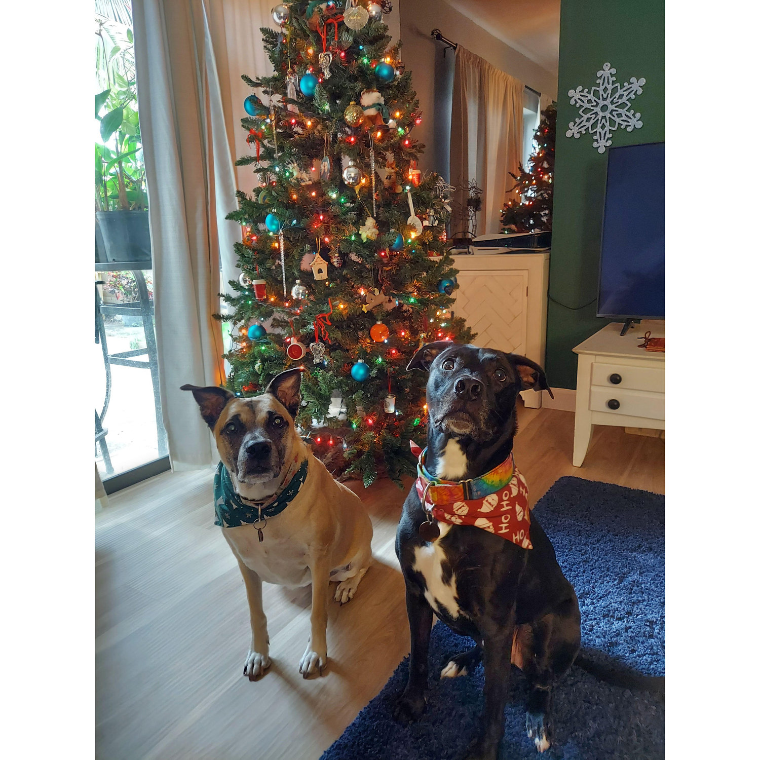 Penny & Benji