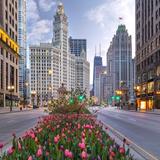 Magnificent Mile