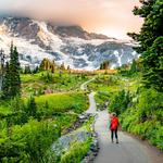 Mount Rainier National Park