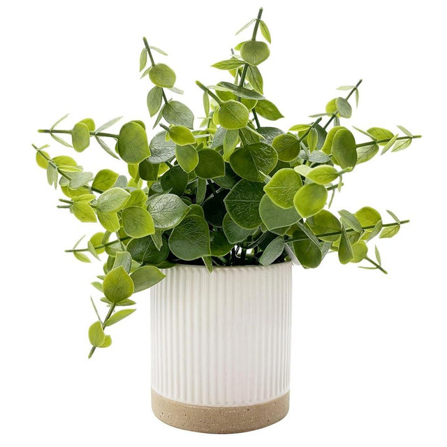 Coferset Small Fake Eucalyptus Potted Plants 9.5" Indoor Fake Plants Small Artificial Eucalyptus with Ceramic Pot-Realistic Greenery for Shelf Office Desk Home Bathroom Table Decor