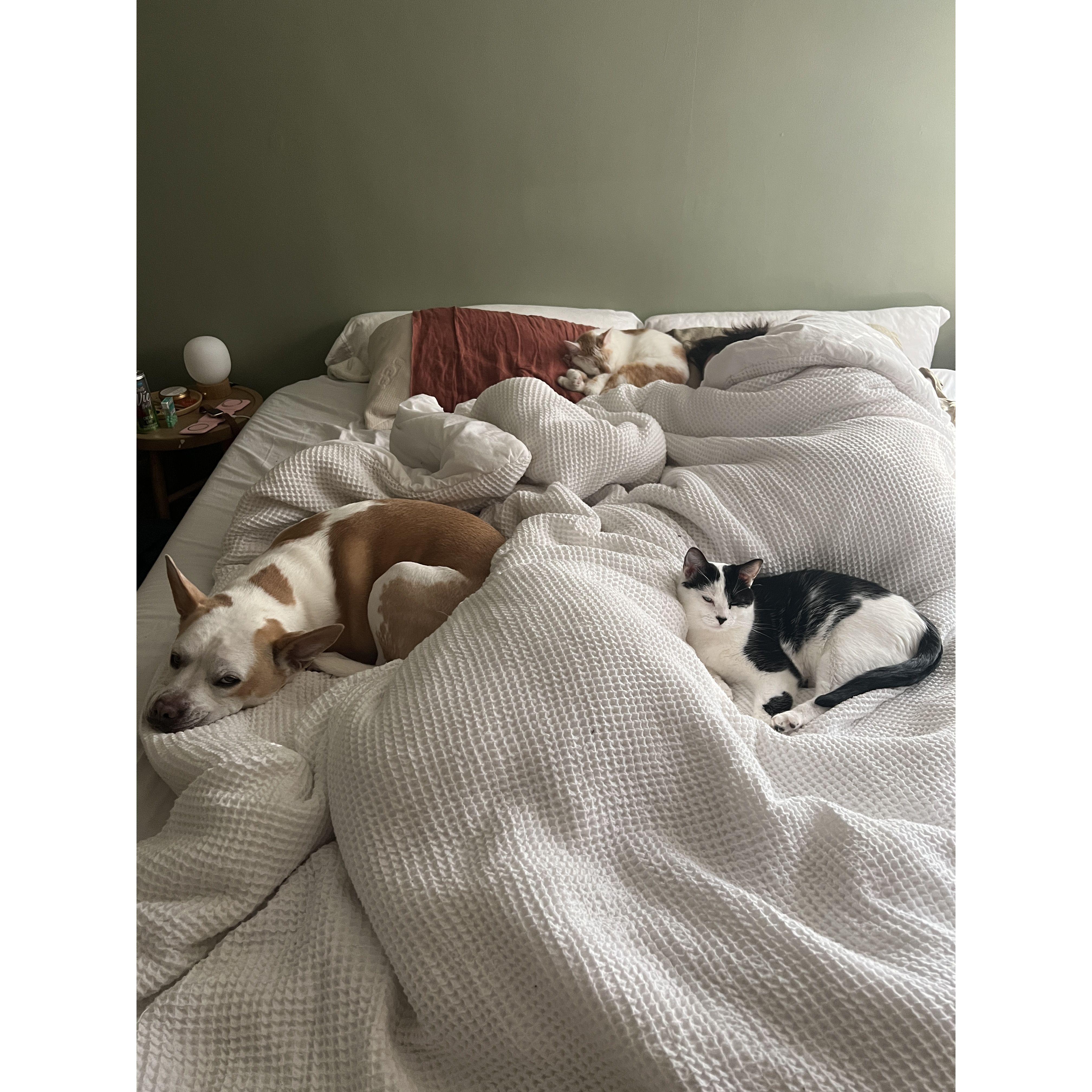 our sweet babes!