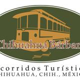 Chihuahua Bárbaro