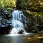 Raven Cliff Falls Trail