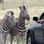 Natural Bridge Wildlife Ranch