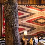 the tree room