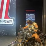 Harley-Davidson Museum®