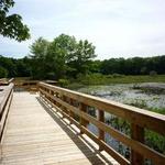 The Nature Trail and Cranberry Bog