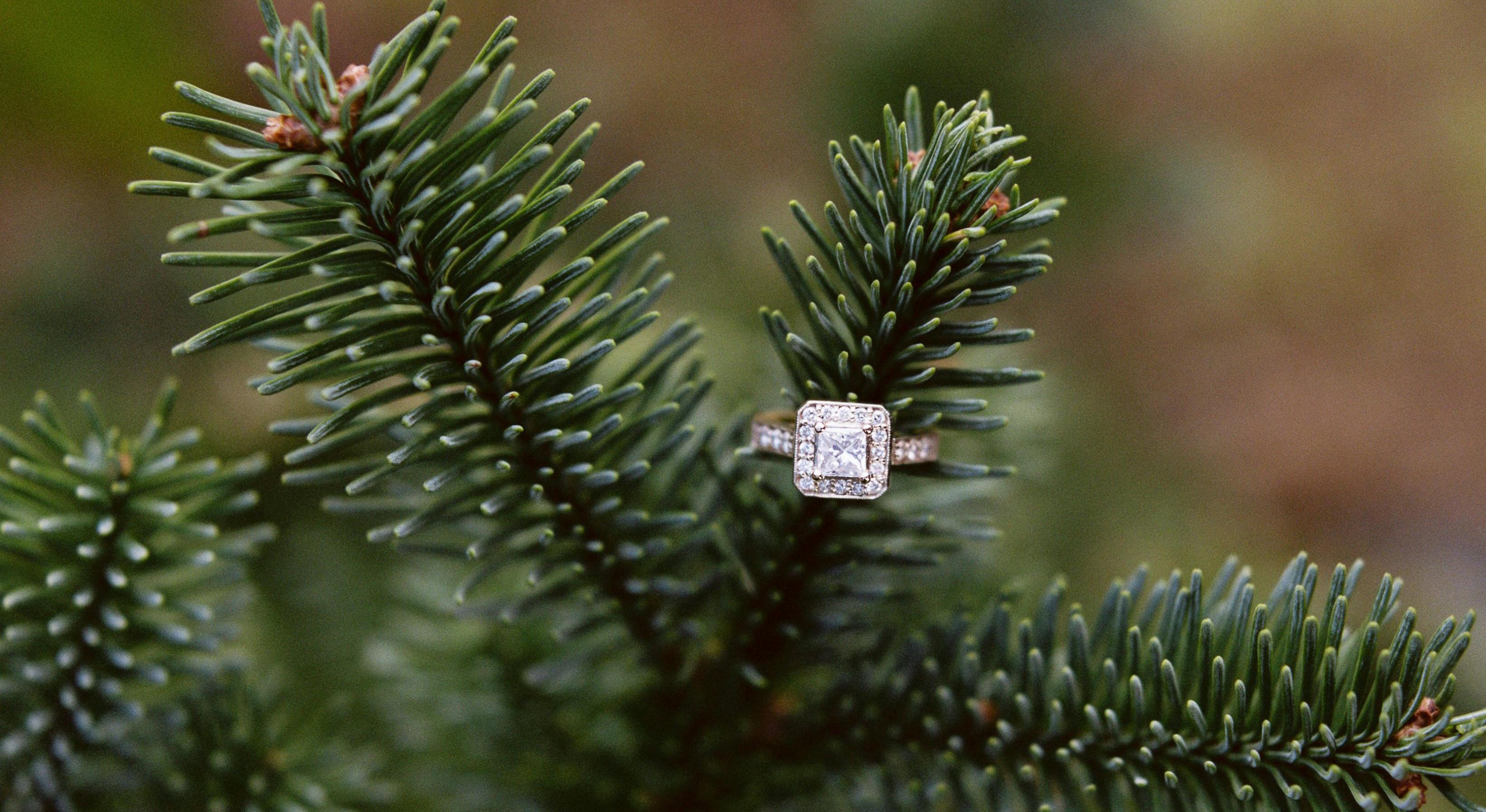 Sara Greenberg and Nicholas Hughes' Wedding site