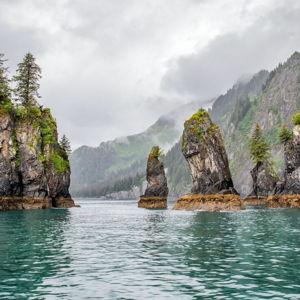 Honeymoon Fund: Kenai Fjords Campground