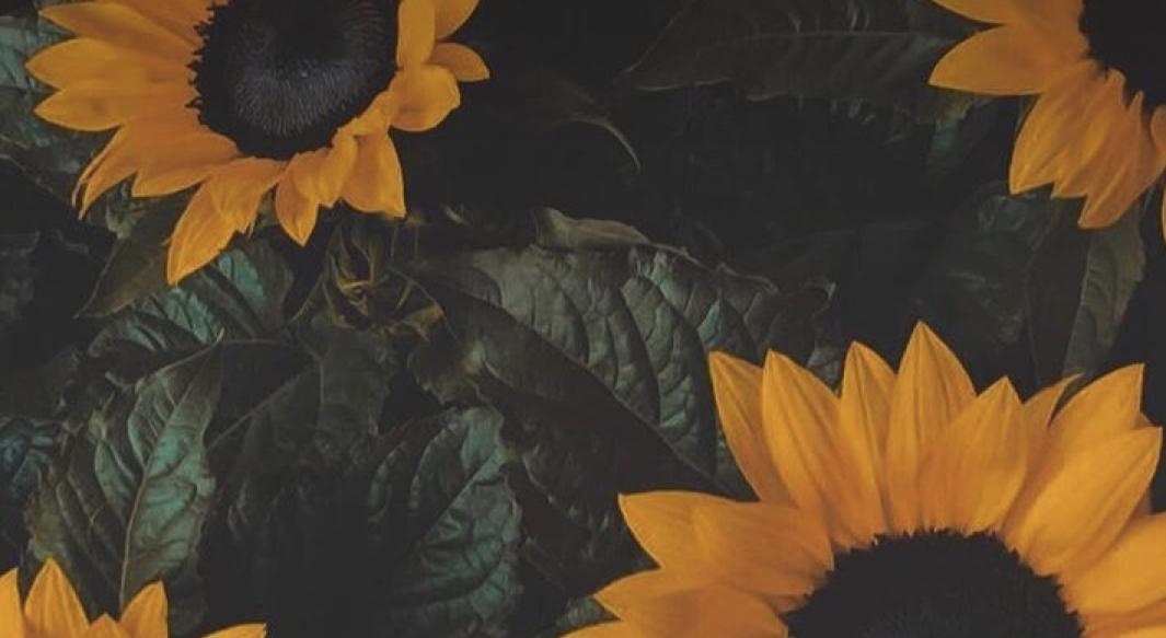 Footer image