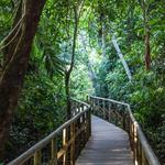 Manuel Antonio National Park