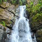 El Yunque National Forest