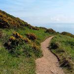 Howth Cliff Walk (Green Route)