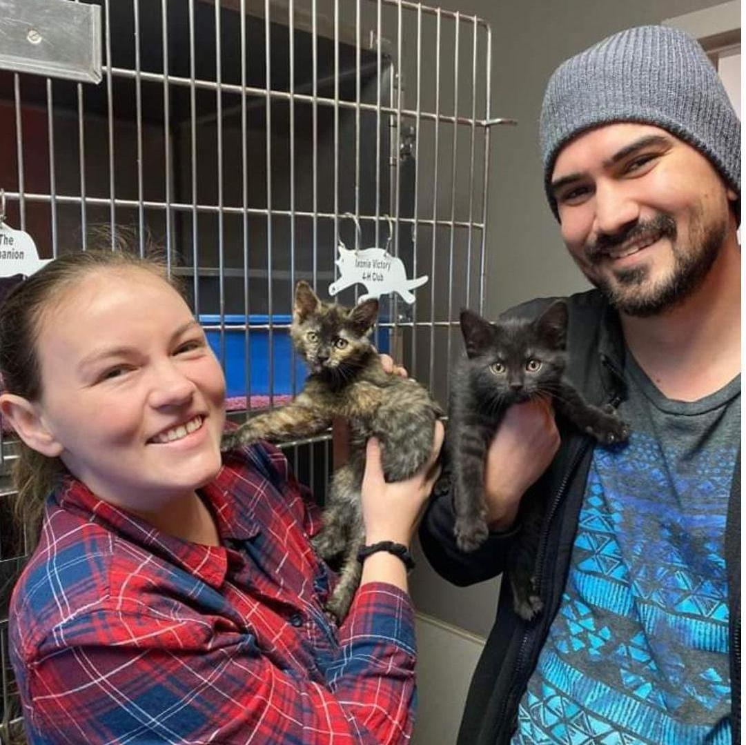 The day we got our kittens Luffy & Robin