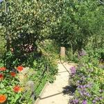 Tyler Arboretum