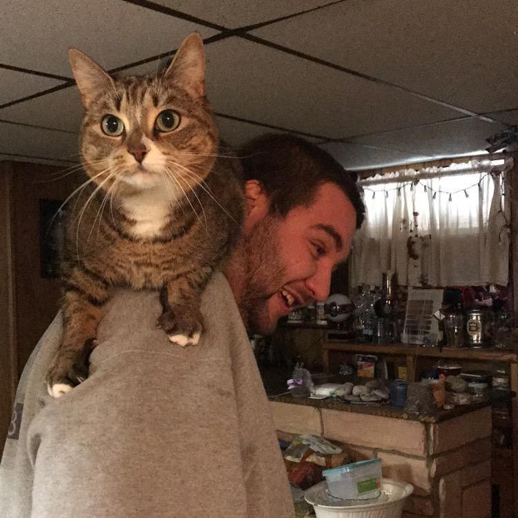 Kiska forcing Matt to become a cat person.