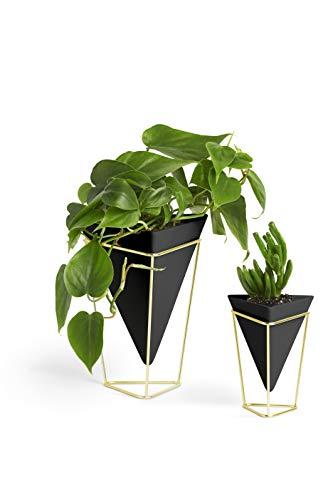 Umbra Trigg Desktop Planter Vase & Geometric Container-for Succulent, Air, Mini Cactus, Faux Plants and More, Desk, Black/Brass