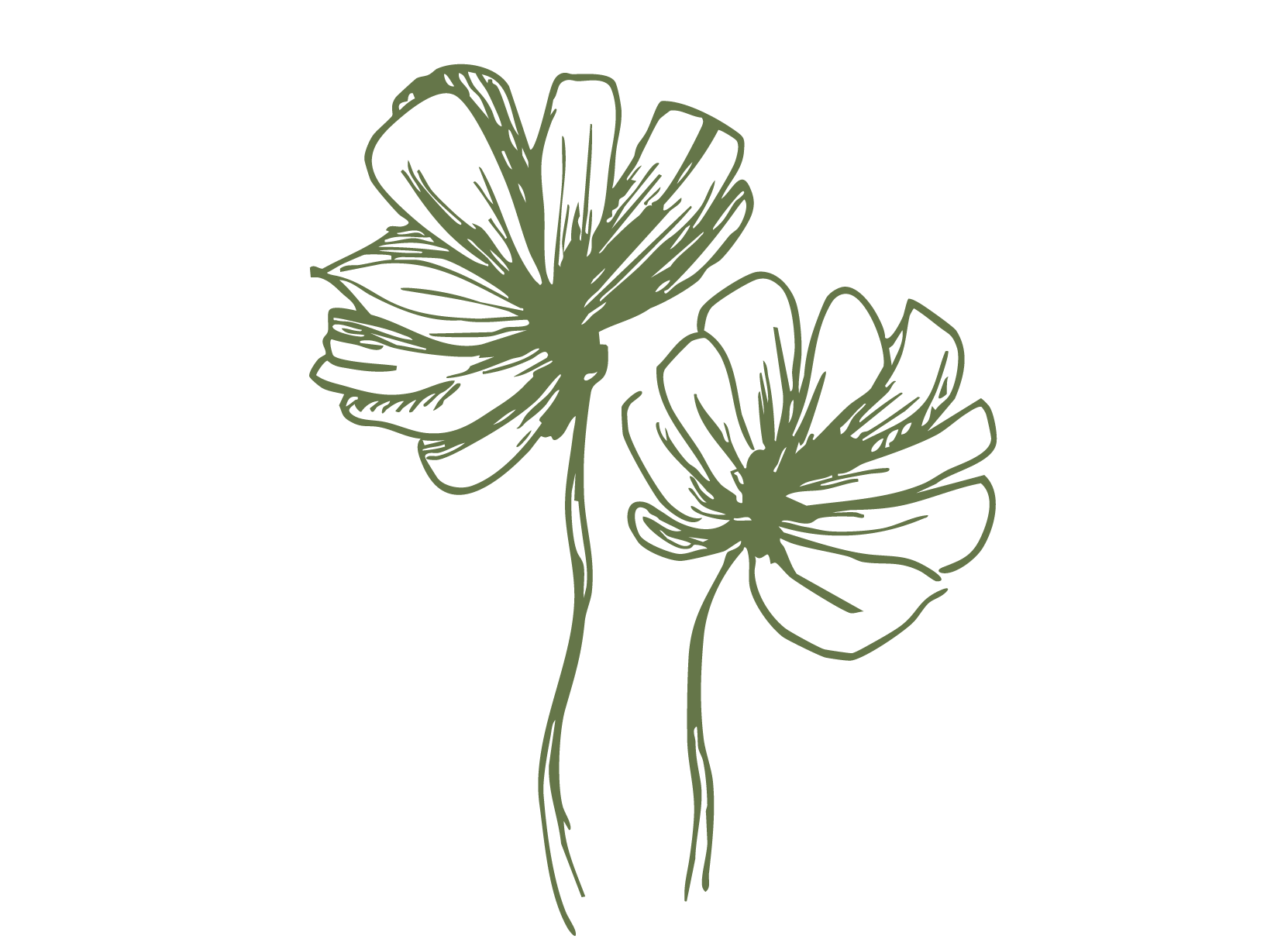 The Wedding Website of Adriana Molina and Eduardo Kruseman