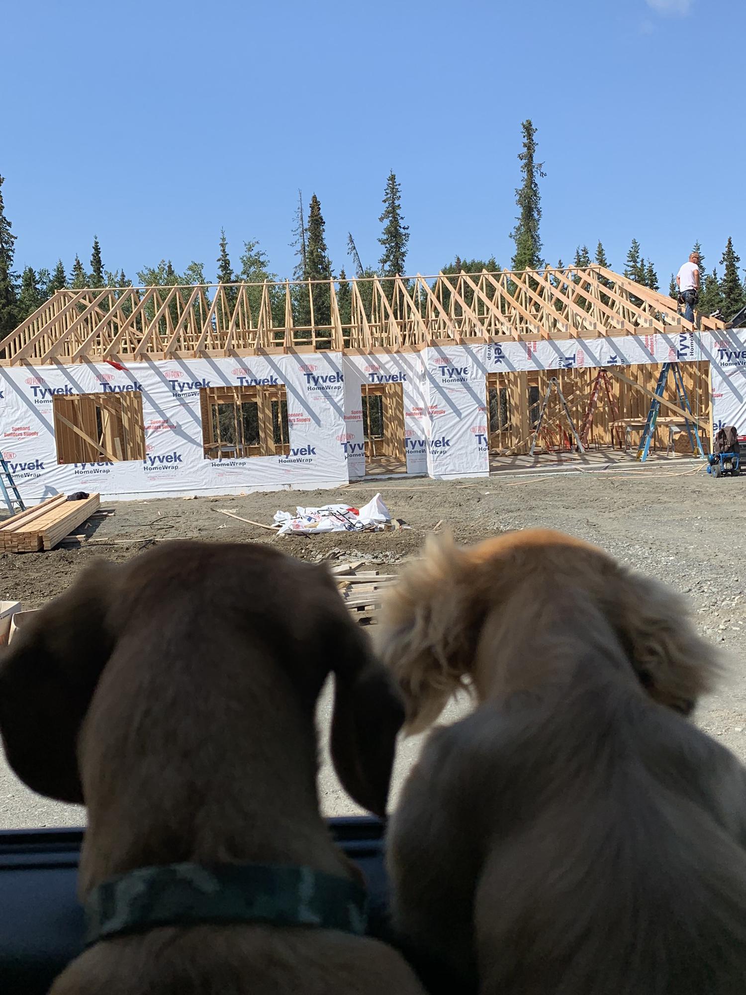 We bought/ built our first house!