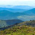 Hiking Trails Near Asheville