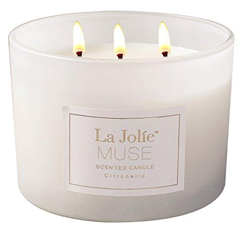 Citronella Mosquito Repels Scented Candle, Natural Wax Glass Jar, 15 OZ 3 Wicks, Outdoor and Indoor