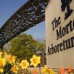 Morton Arboretum
