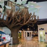 Explore More Discovery Museum