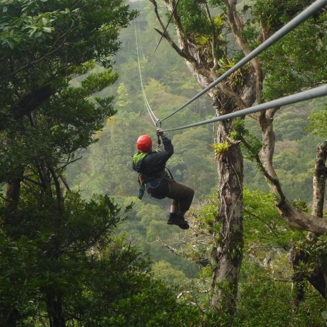 Honeymoon Activity Arenal Rain Forest Canopy Zipline Tour