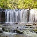 Ricketts Glen State Park