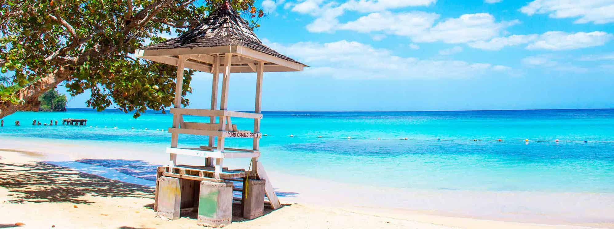 The Wedding Website of Leah Weinberger and Dean Faison