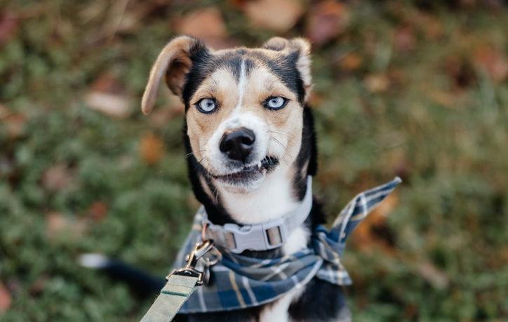 The Wedding Website of Casey Anderson and Cody Lewandowski