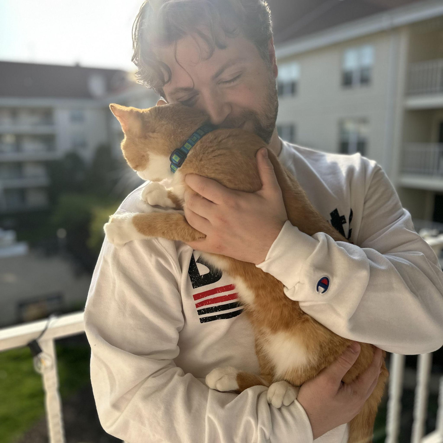 We love our cats!