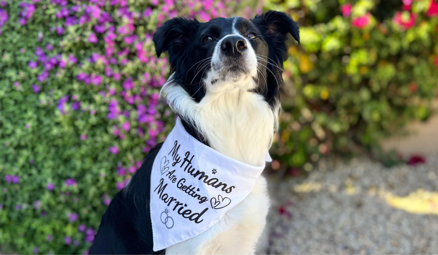 The Wedding Website of Alyssa Moraila and Thomas Reeker
