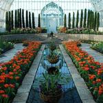 Como Park Zoo & Conservatory