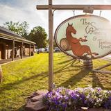 The Saratoga Winery